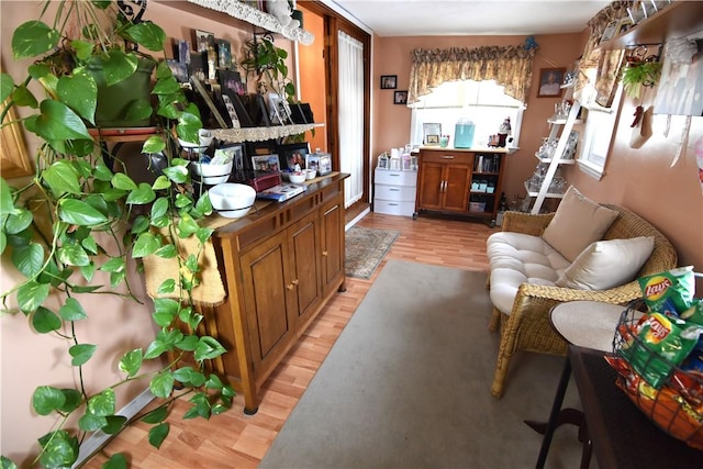 living area featuring light wood-type flooring