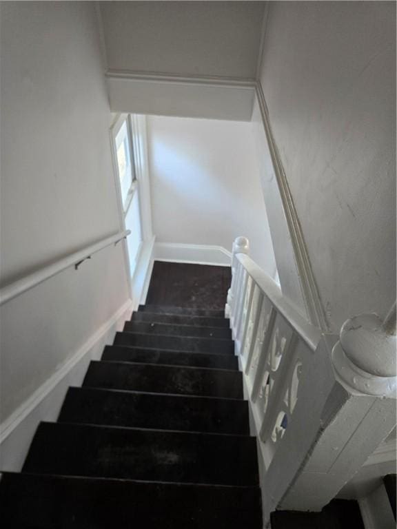 staircase with wood-type flooring