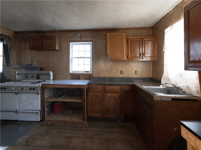 kitchen featuring sink, wooden walls, and a textured ceiling