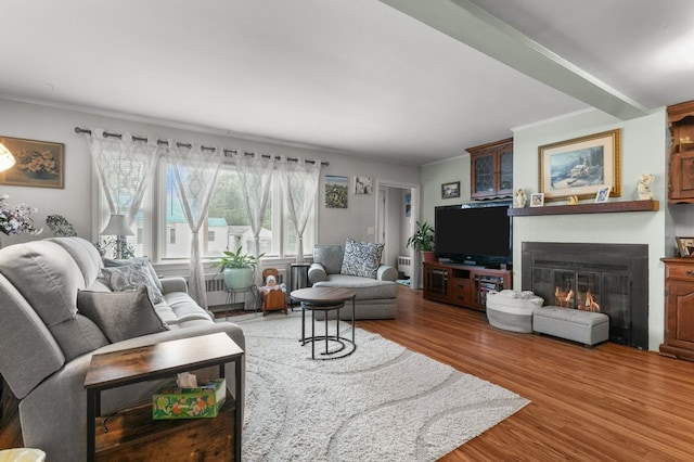 living room featuring a glass covered fireplace, ornamental molding, and wood finished floors