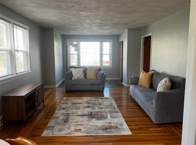 living room with dark hardwood / wood-style floors