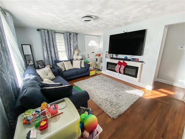 living room with hardwood / wood-style floors