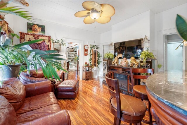 living room with ceiling fan and wood-type flooring