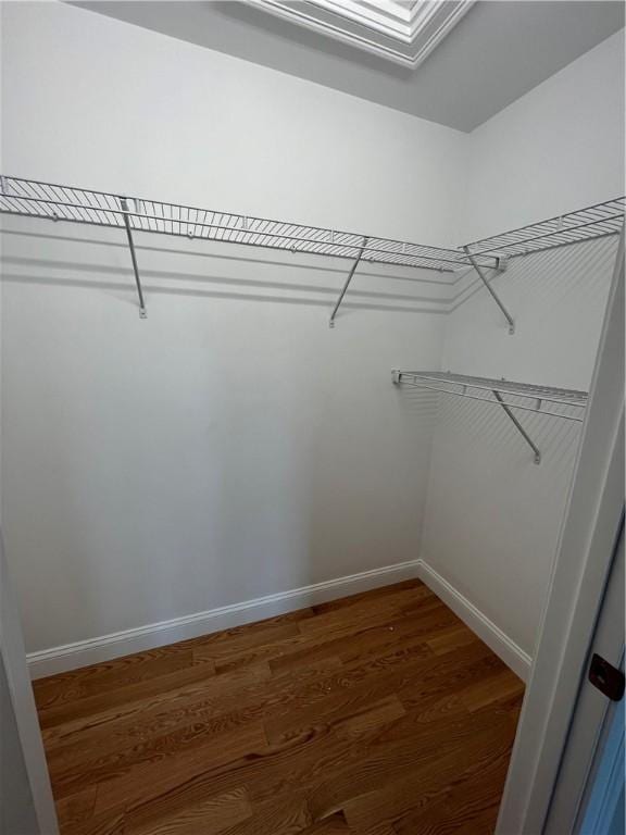 spacious closet with hardwood / wood-style flooring