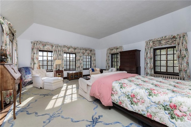 carpeted bedroom featuring a raised ceiling