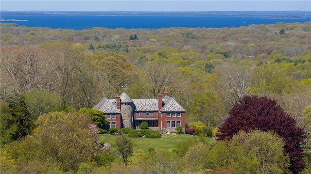 aerial view with a water view