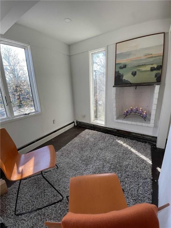 living area with a baseboard heating unit and a wealth of natural light