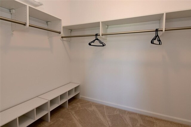 walk in closet featuring carpet floors