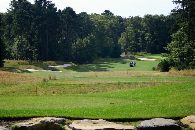 view of community featuring a lawn