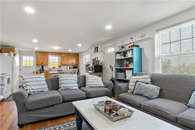 living room featuring light hardwood / wood-style floors