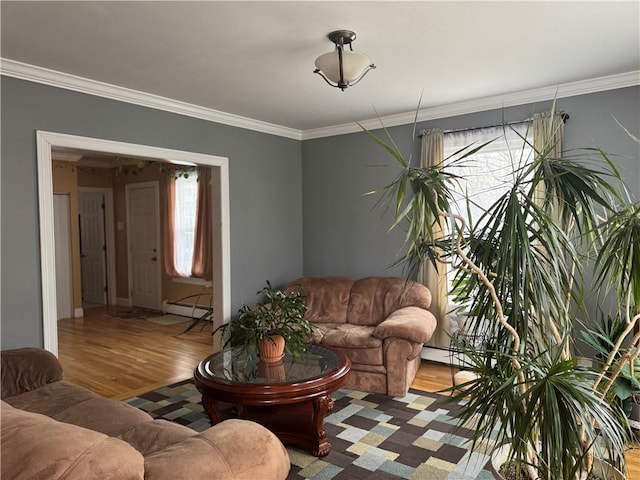 living room with a baseboard heating unit, crown molding, and light hardwood / wood-style floors