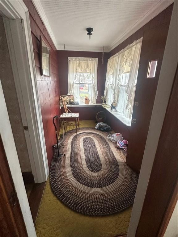 sitting room with carpet and ornamental molding