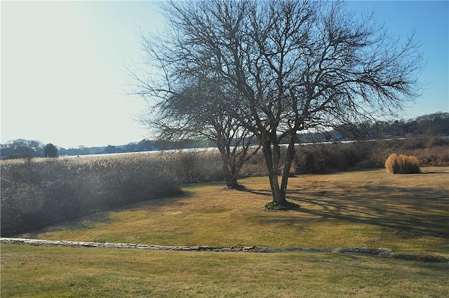 view of yard with a rural view