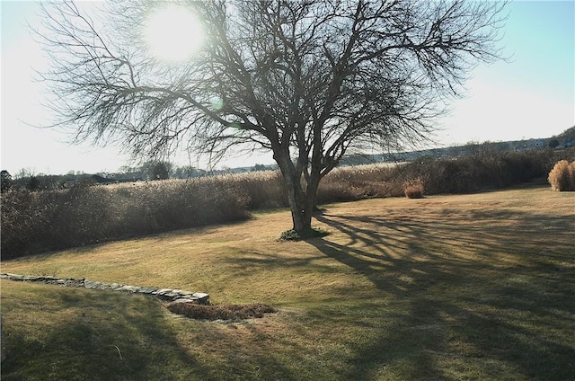 view of yard featuring a rural view