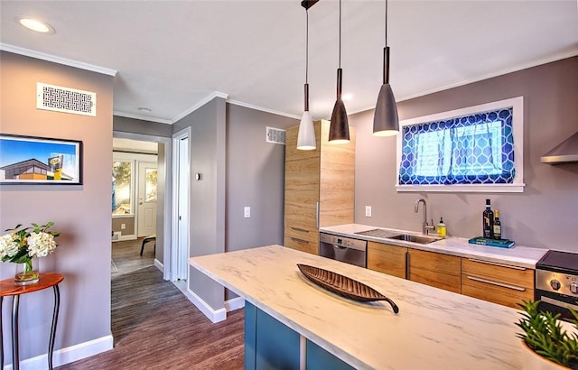 kitchen with appliances with stainless steel finishes, decorative light fixtures, dark wood-type flooring, ornamental molding, and sink