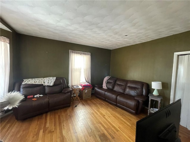 living room with light hardwood / wood-style flooring