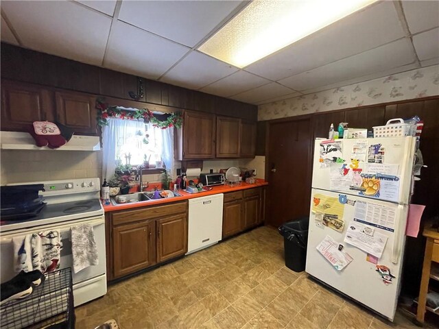 kitchen with a paneled ceiling, sink, and white appliances