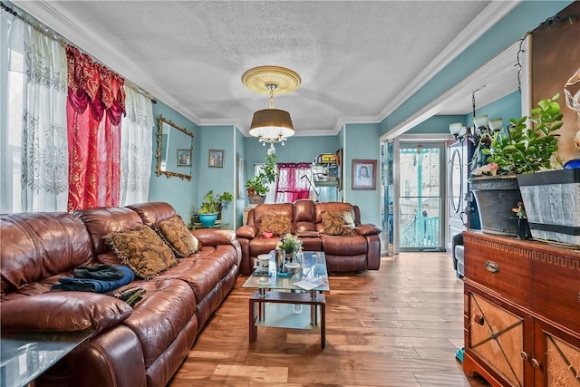 living room featuring light hardwood / wood-style floors, a textured ceiling, ornamental molding, and a notable chandelier