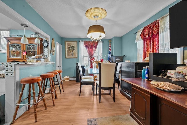 dining space with light wood-type flooring, indoor bar, a healthy amount of sunlight, and a baseboard radiator