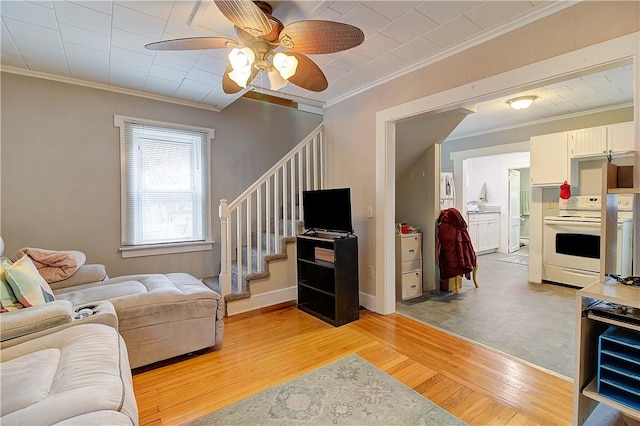 living room with ceiling fan, ornamental molding, and light hardwood / wood-style floors