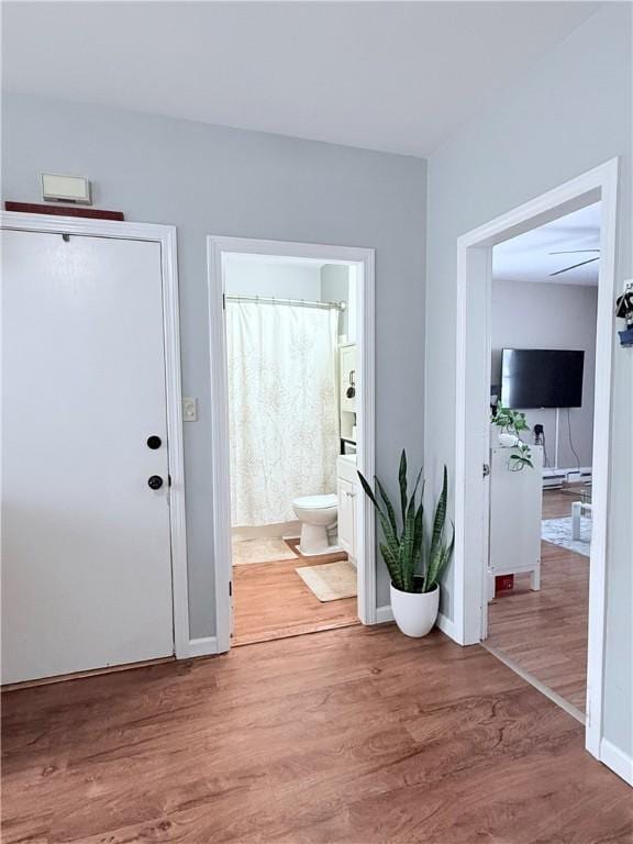 foyer with hardwood / wood-style flooring