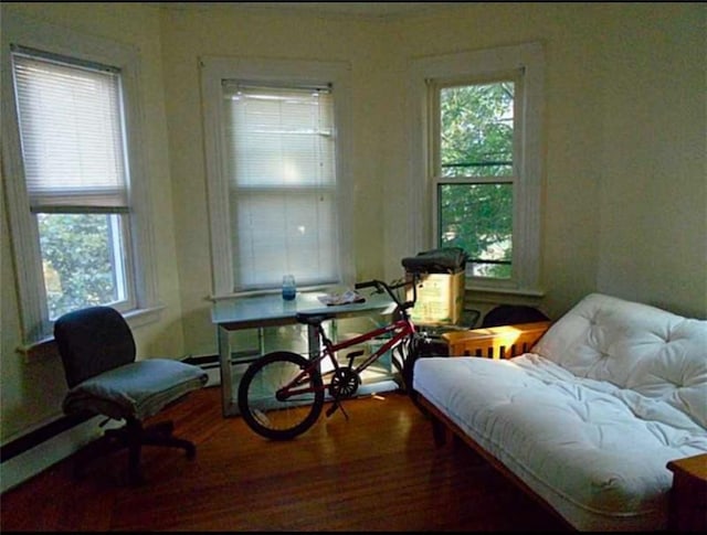 living area with wood-type flooring