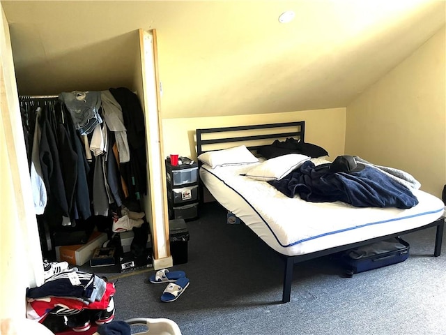 bedroom featuring lofted ceiling