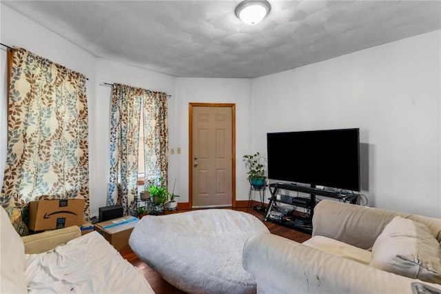 living room with wood-type flooring