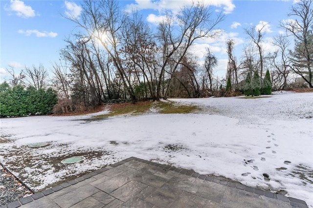 view of yard layered in snow