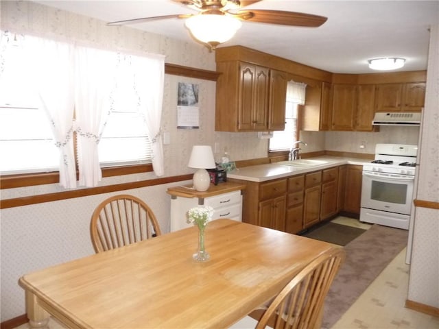 kitchen featuring ceiling fan, sink, and white stove