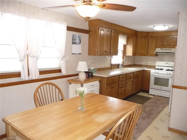 kitchen featuring ceiling fan, sink, and gas range gas stove