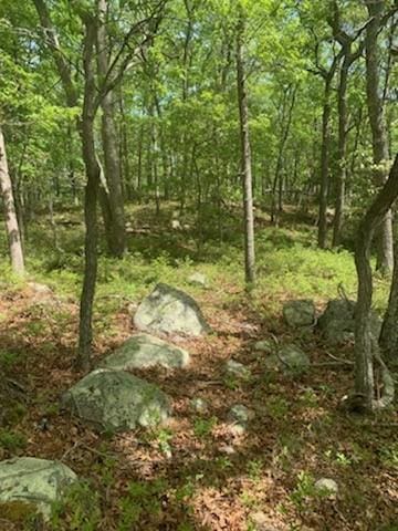 201 Gravelly Hill Rd, South Kingstown RI, 02879 land for sale