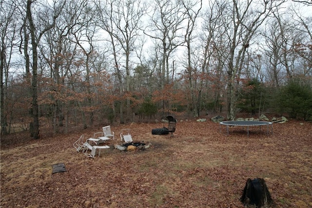 view of yard featuring a trampoline