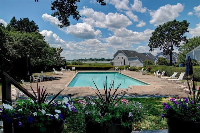 view of pool featuring a patio