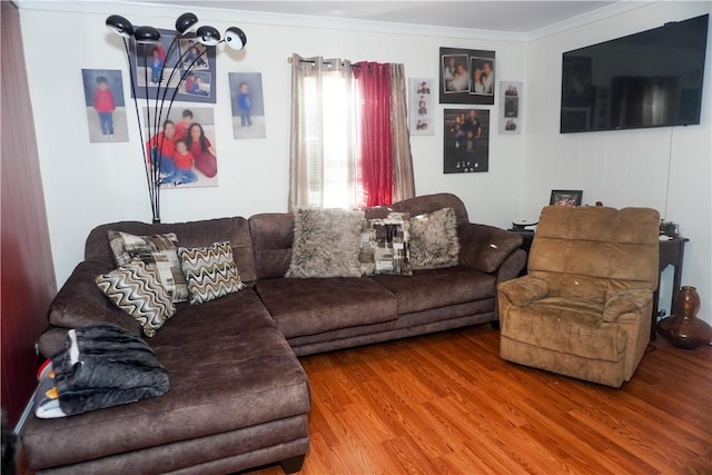 living room featuring hardwood / wood-style flooring and crown molding