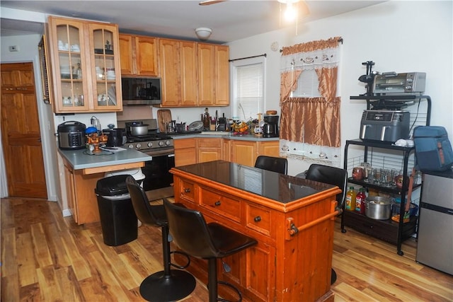 kitchen with ceiling fan, appliances with stainless steel finishes, a breakfast bar, and light hardwood / wood-style floors