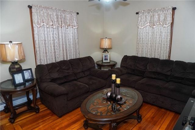 living room featuring hardwood / wood-style floors