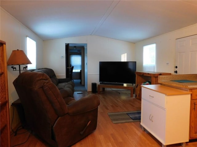 living room with light wood-type flooring, vaulted ceiling, and a healthy amount of sunlight