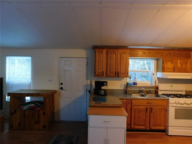 kitchen featuring white gas stove, sink, and hardwood / wood-style flooring