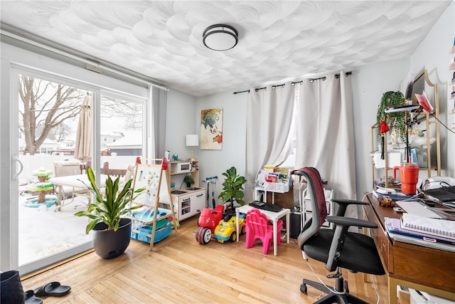 office space featuring wood-type flooring