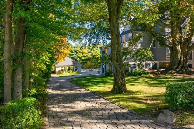 view of property's community with a yard