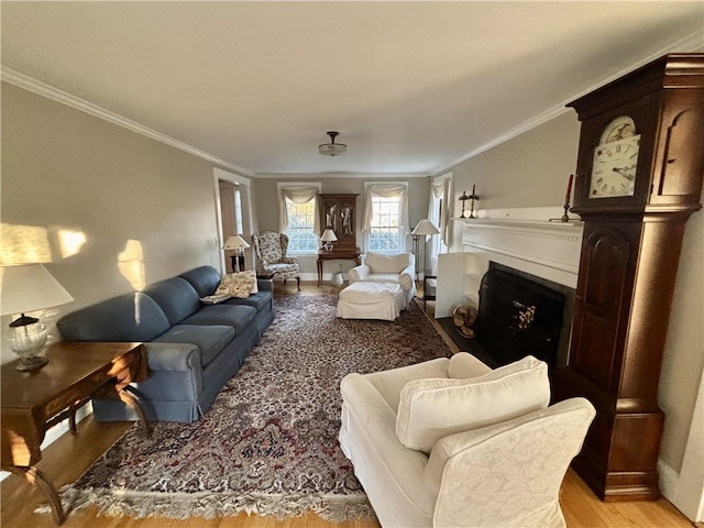 living room featuring crown molding and light wood-type flooring