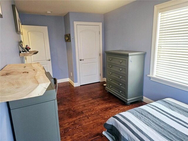 bedroom featuring dark wood-type flooring and multiple windows