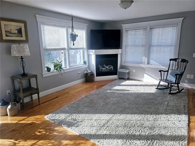 living room featuring plenty of natural light and wood-type flooring