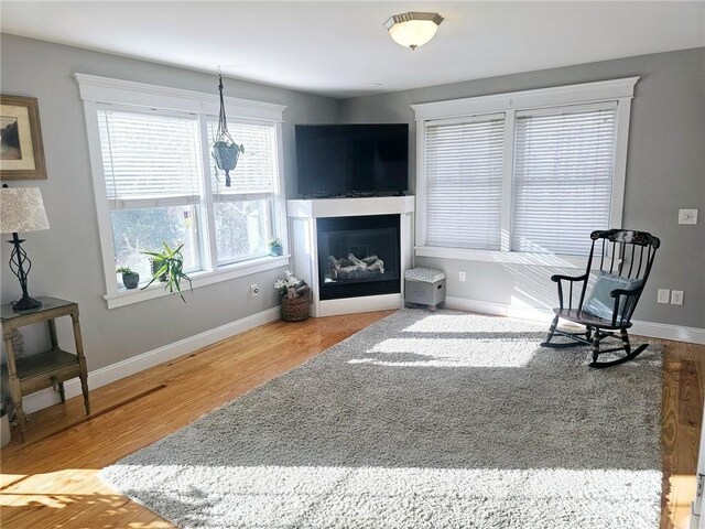 living room with hardwood / wood-style floors