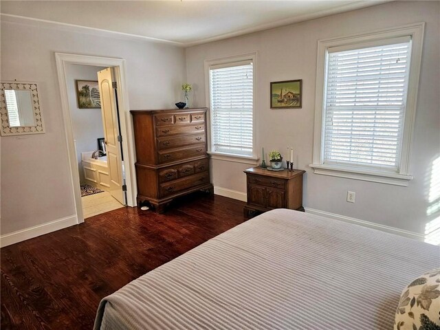 bedroom featuring multiple windows, ensuite bathroom, and dark hardwood / wood-style flooring