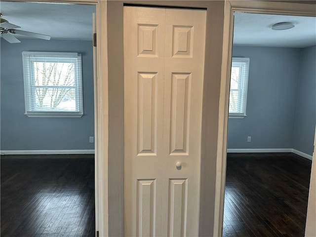 hall featuring dark hardwood / wood-style floors