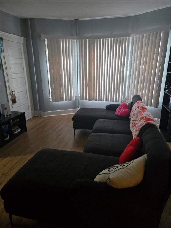 living room featuring wood-type flooring