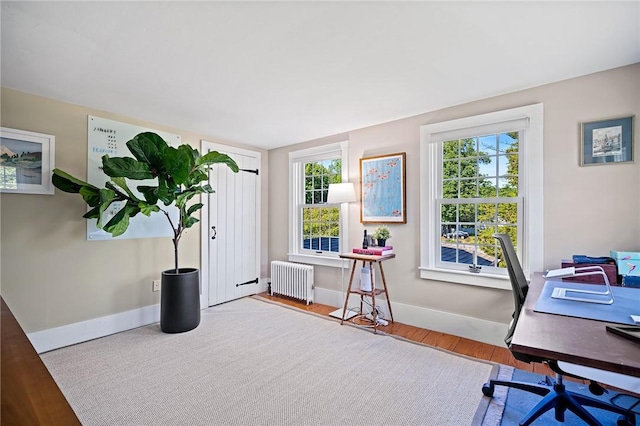 home office featuring radiator heating unit and light wood-type flooring