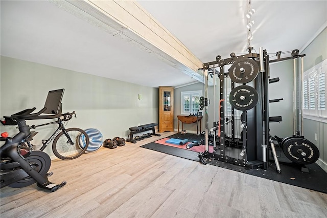 exercise area with a wealth of natural light and hardwood / wood-style floors